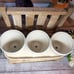 Rae Dunn Rosemary Parsley Thyme herb planters