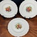 6 Alden Copeland Spode 9 Luncheon Plates - Raised Daisy Rim W/Fruit Centers