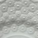 6 Alden Copeland Spode 9 Luncheon Plates - Raised Daisy Rim W/Fruit Centers