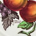 6 Alden Copeland Spode 9 Luncheon Plates - Raised Daisy Rim W/Fruit Centers