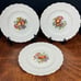 6 Alden Copeland Spode 9 Luncheon Plates - Raised Daisy Rim W/Fruit Centers