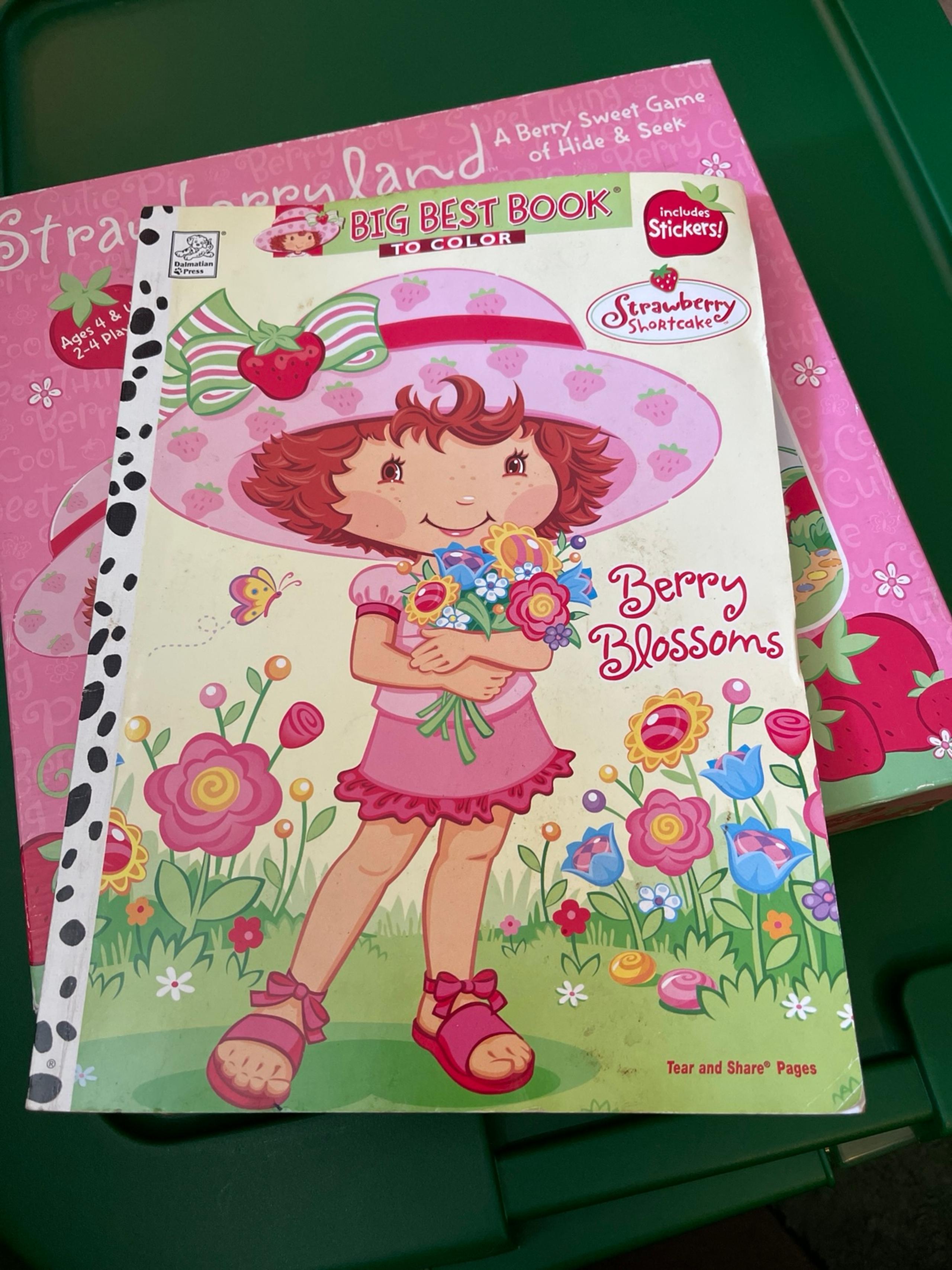 Vintage Strawberry Shortcake Berry Blossoms Coloring Book