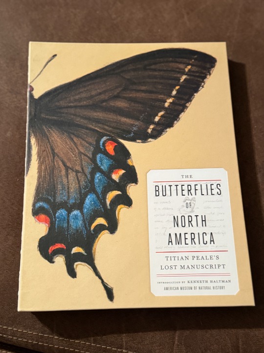Butterflies of North America: Titian Peale's Lost Manuscript and Notebook (160)