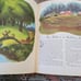 Walt Disney's Uncle Remus Stories Retold by Marion Palmer Vintage book