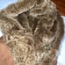 Like New Terry Lewis Classic Luxuries Fox Fur Coat