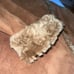 Like New Terry Lewis Classic Luxuries Fox Fur Coat