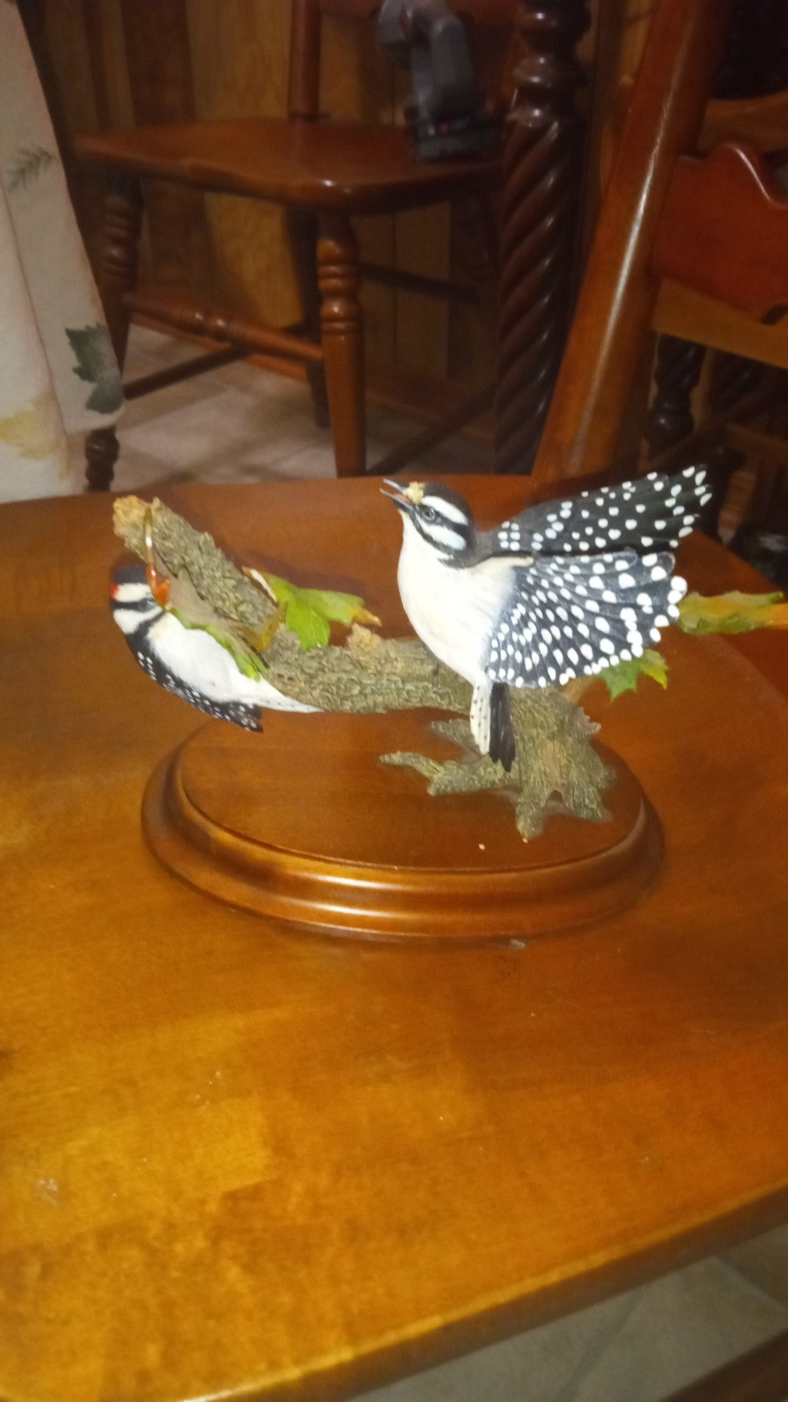 Autumn wonder woodpeckers