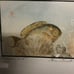 Japanese “Surgeon Fish” Print Drawing Painting Vintage Framed And Signed