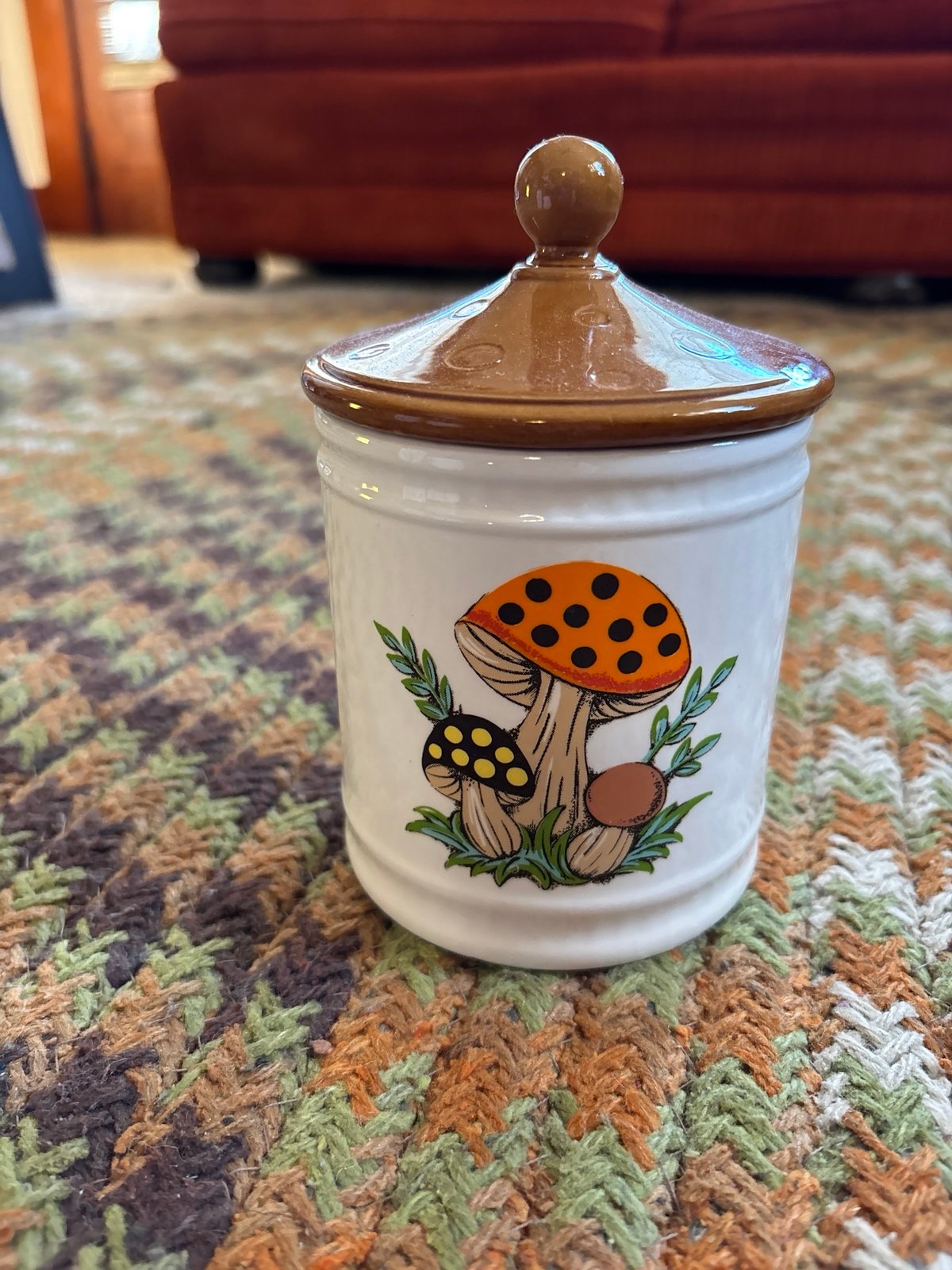 Vintage Mushroom Canister