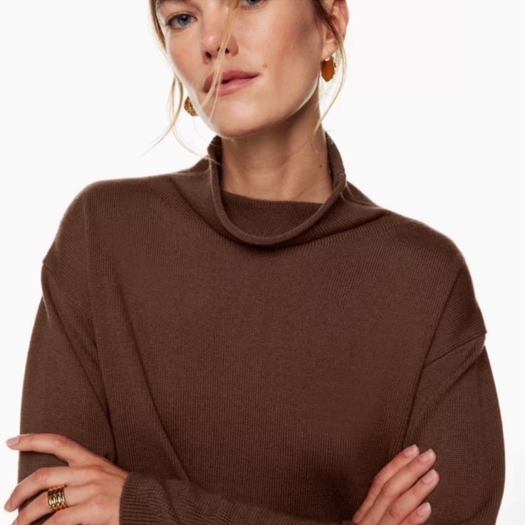 Aritzia Wilfred Brown Cyprie Turtleneck 100% Merino Wool Size Medium