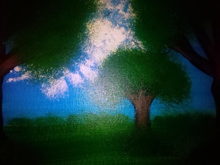 Grandma's Meadow