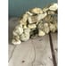 Handmade Natural Rock Aquarium Decoration with Fossils