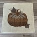 Pier 1 Imports beaded pumpkin placemat