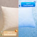 Pillows King Set of 2