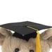 NWT ME 13” H Prom Grad Tan Class of 2023 Bear Stuffed Animal w/ Robe Tassel Cap