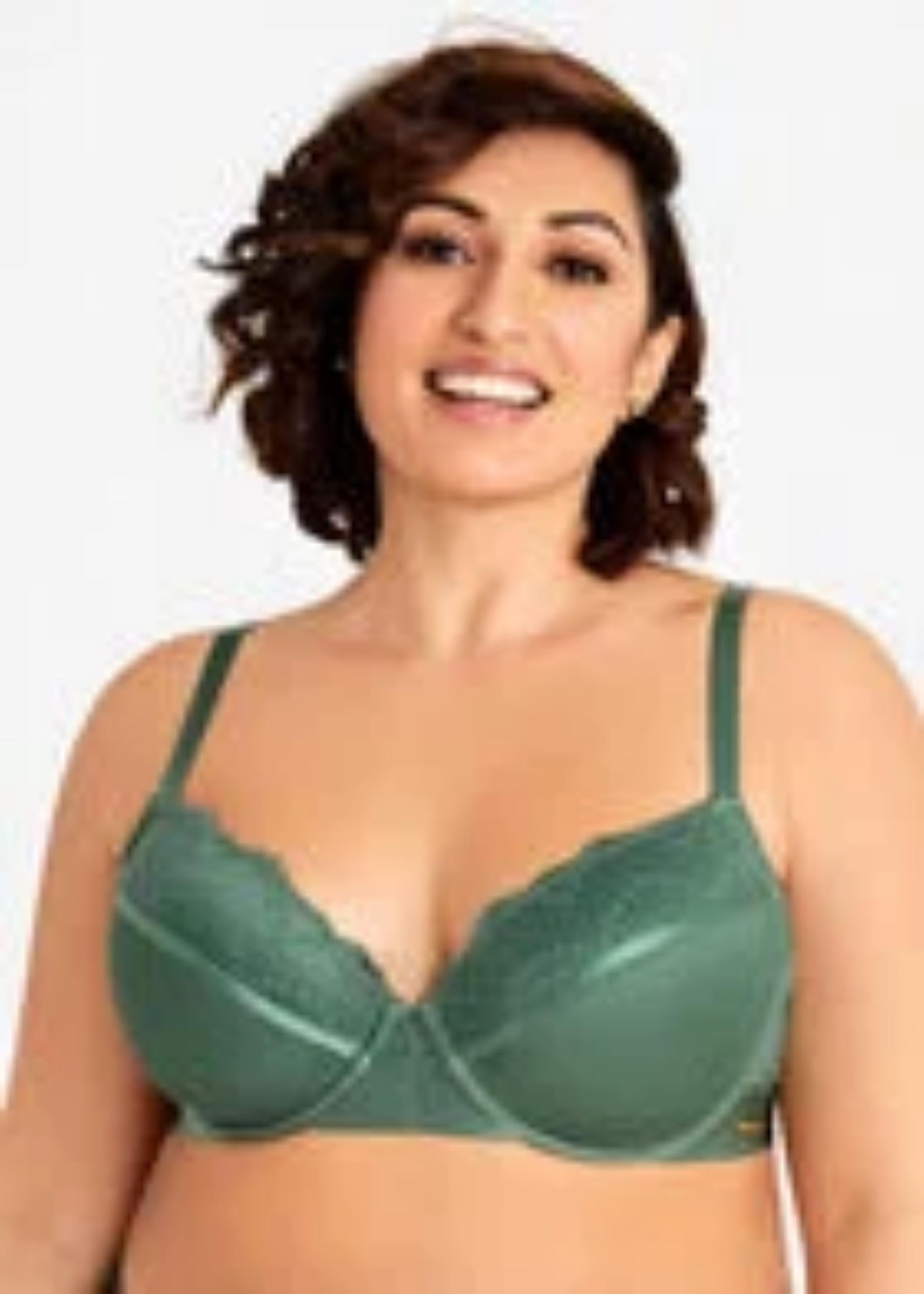 Mesh and Lace Microfiber bra - Ashley Stewart