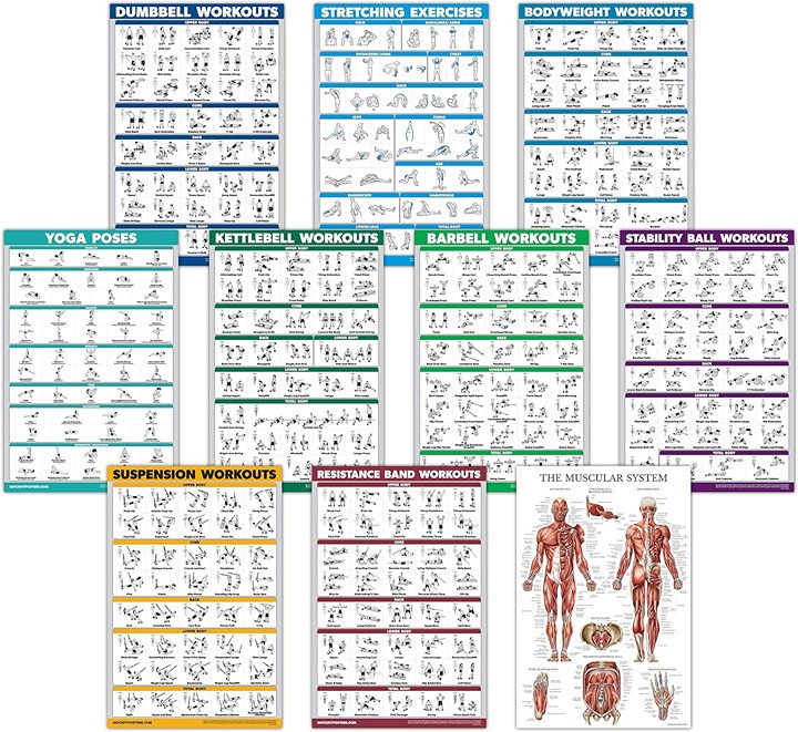 Exercise Workout Poster Set Muscular System Chart 10 Pack