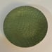 NWT MARIPOSA Croc Green Wine Plate