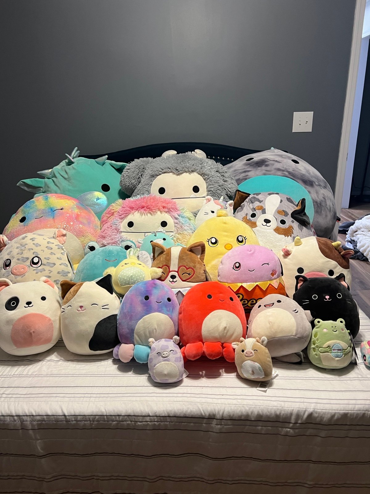 Squishmallow bundles (you pick what you would like)