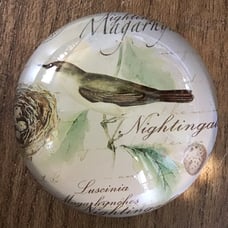 Glass Art Botanical Bird Nightingale Paperweight