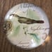 Glass Art Botanical Bird Nightingale Paperweight