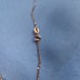 Pearl necklace single pearl freshwater