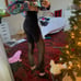 lululemon Mesh Leggings