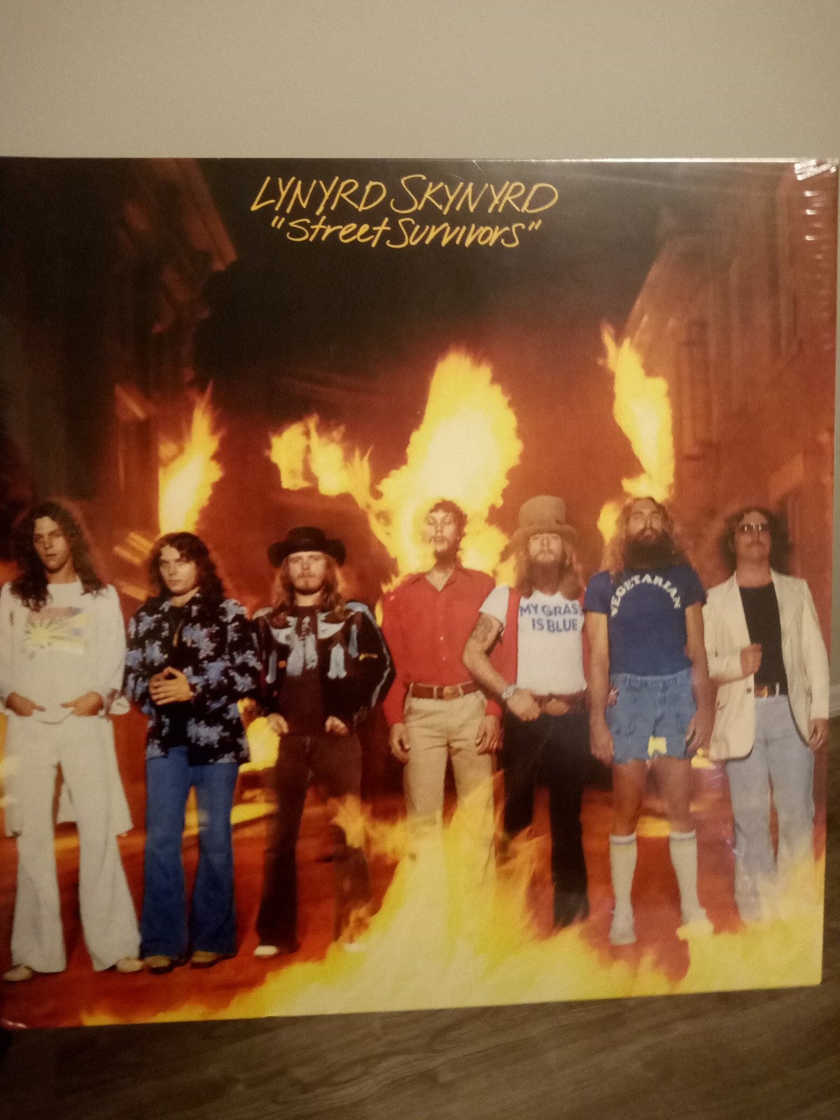 Lynryd Skynyrd lp SEALED! Rare album! original cover