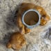 Vintage Tienshan Theodore Daddy Bear And Baby Bear Country Cookie Jars