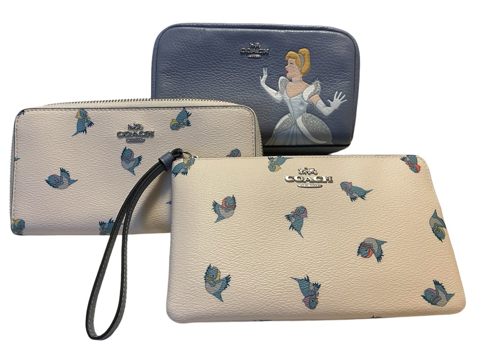 Coach Cinderella Princess Set - Disney x Coach