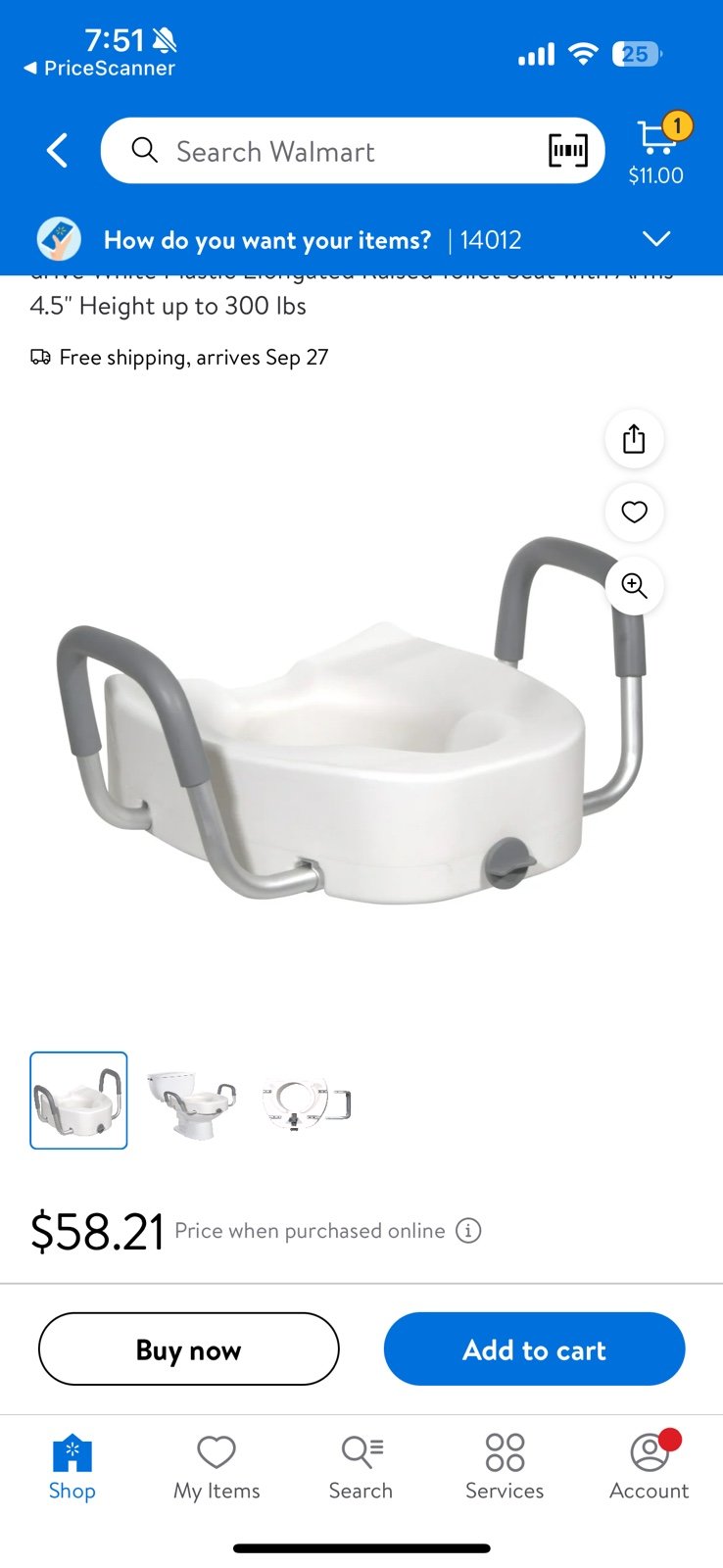 Elderly potty seat
