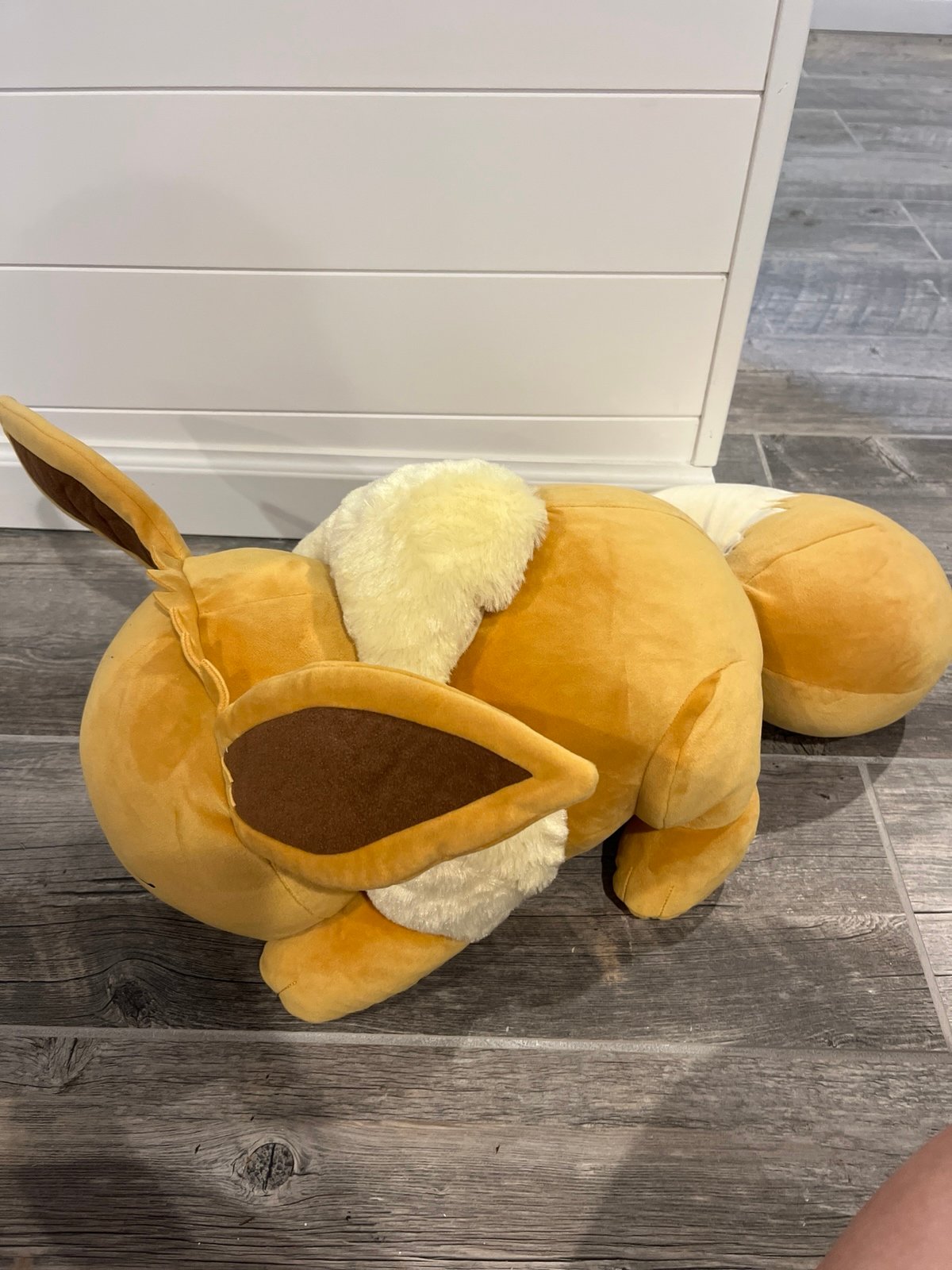 Sleeping eevee