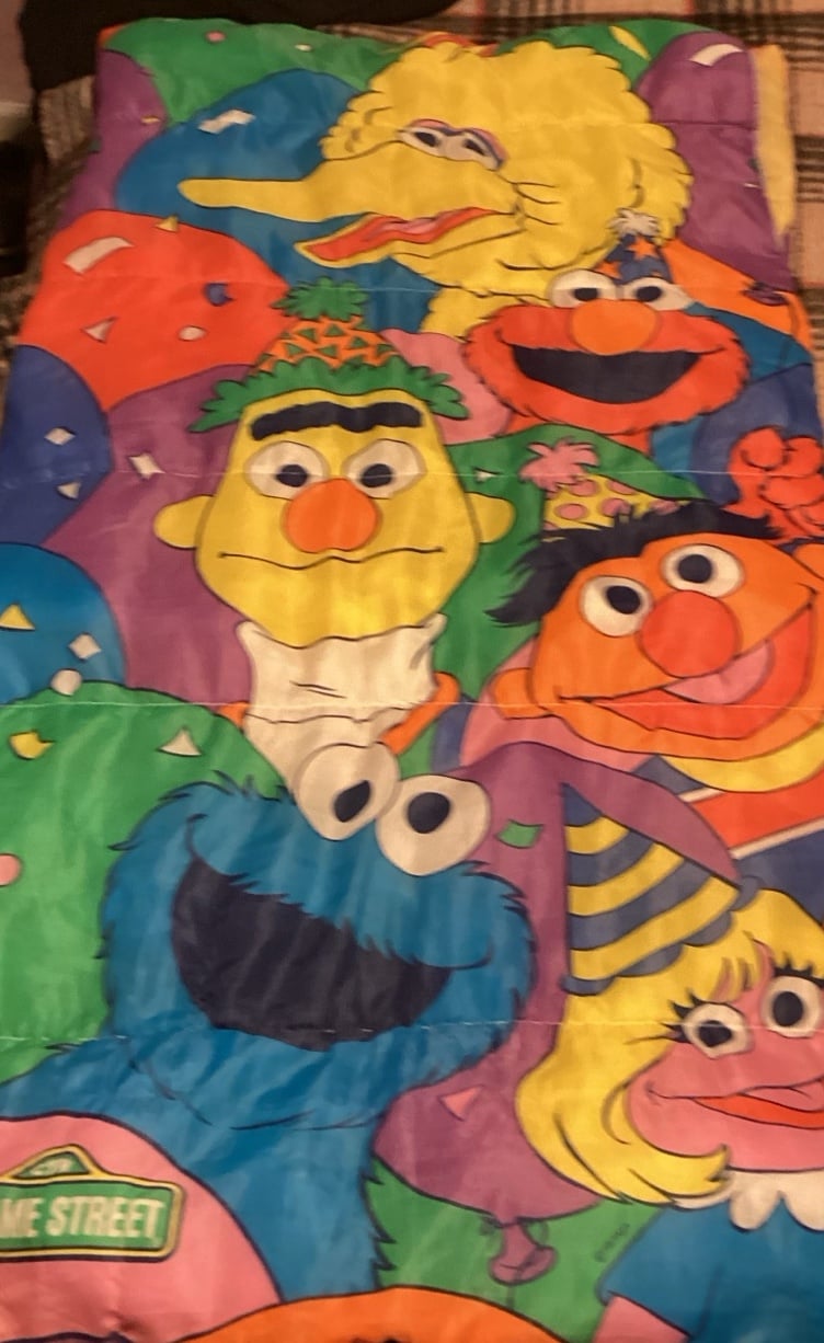 28”x54” RARE Vintage Sesame Street Sleeping Bag, Zipper, Same image both sides
