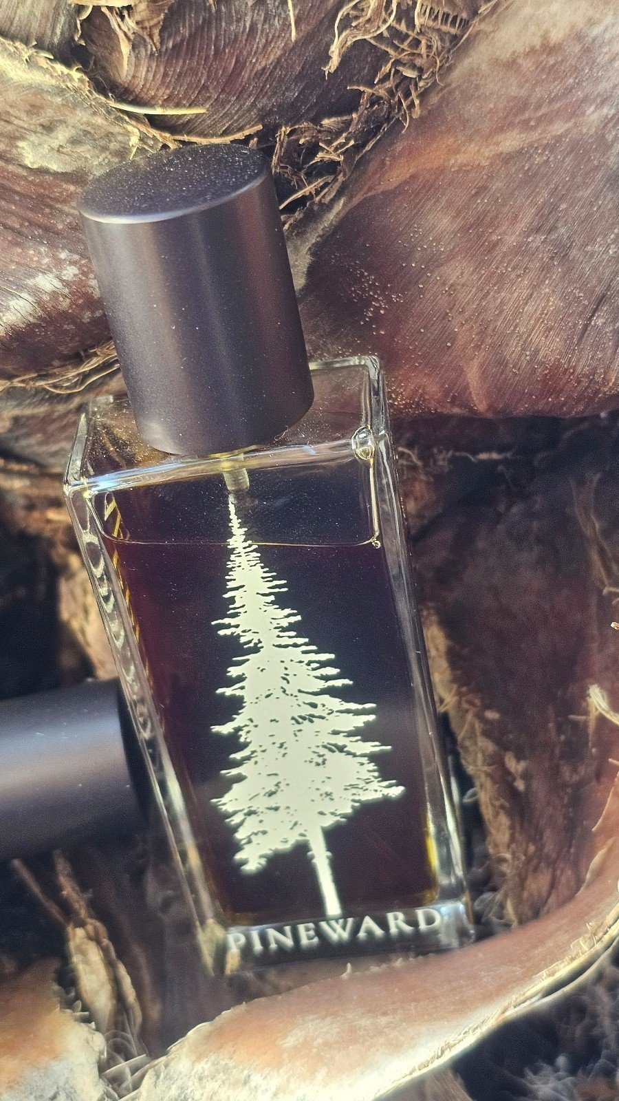 Pineward Boreal parfum 57mL Purchased April 2024