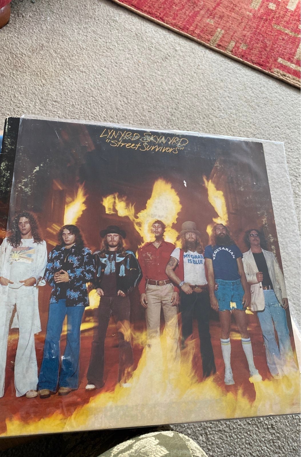 Rare Lynyrd Skynyrd street survivors
