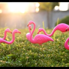 Set of 6 Small Pink Flamingo Garden Decor Mini Statue Yard Decorations