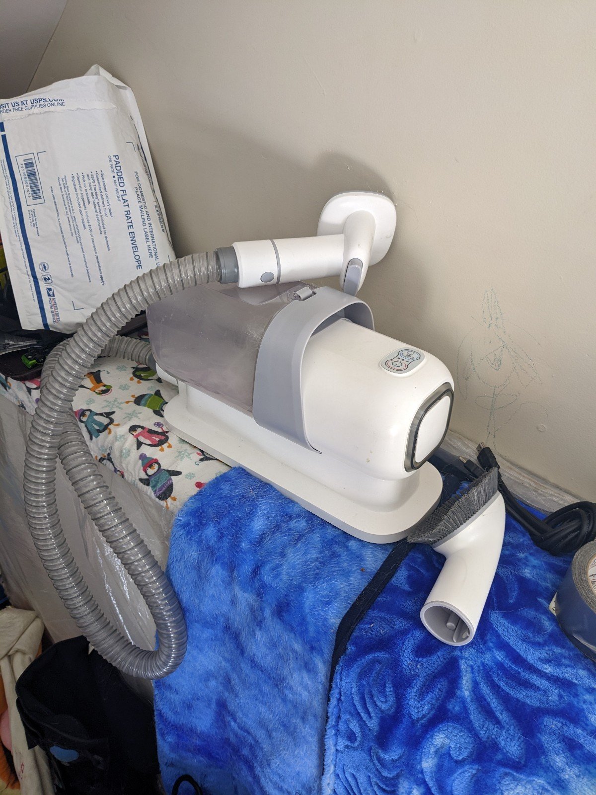 grooming pets vacuuming husky