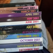 Playboy 2001 Bundle (12)
