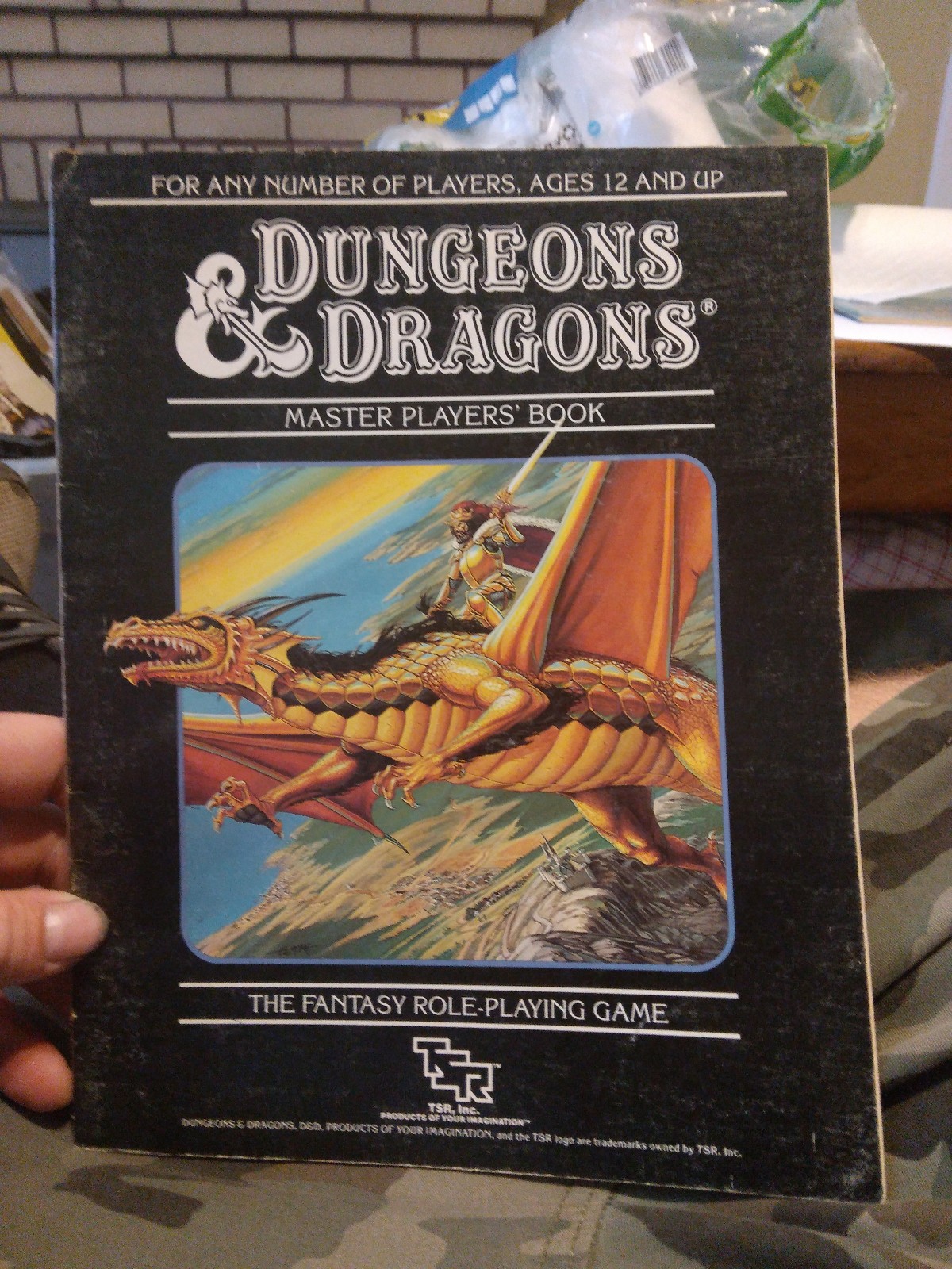 Dungeons and Dragons Master Players Book