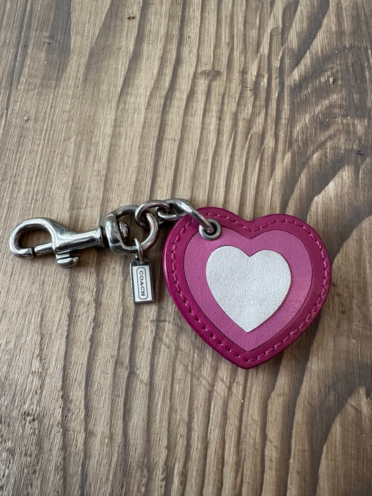COACH ombré keychain / bag charm