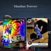 Jamal Murray Card Lot (17)