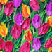 SOLD Original Painting. Multi-Color Tulips. Textured Pallet Knife Art