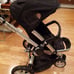 Stroller quinny buzz