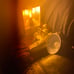 Grow light Sun System 150 with extra 150 W bulb and 60 worth of plant food humi