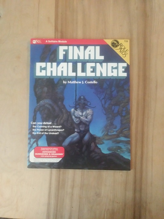 Final Challenge Dungeons and Dragons Solitaire Module