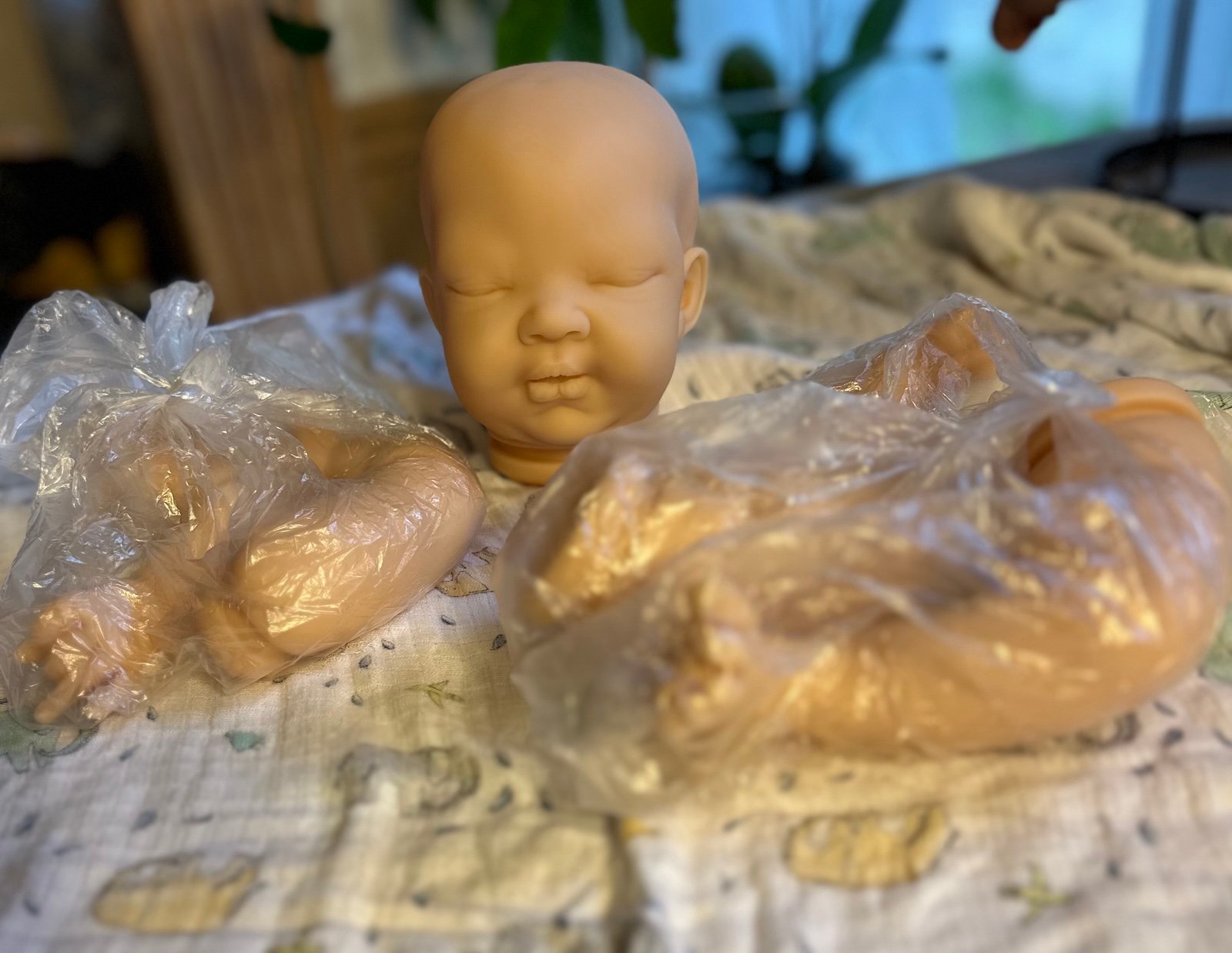 Discontinued Ella Reborn kit