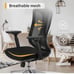 Ergonomic Office Chair