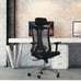Ergonomic Office Chair