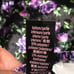 Victoria's Secret Purple Black Velvet Lace-Back Cami Set / Large NWT