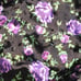 Victoria's Secret Purple Black Velvet Lace-Back Cami Set / Large NWT